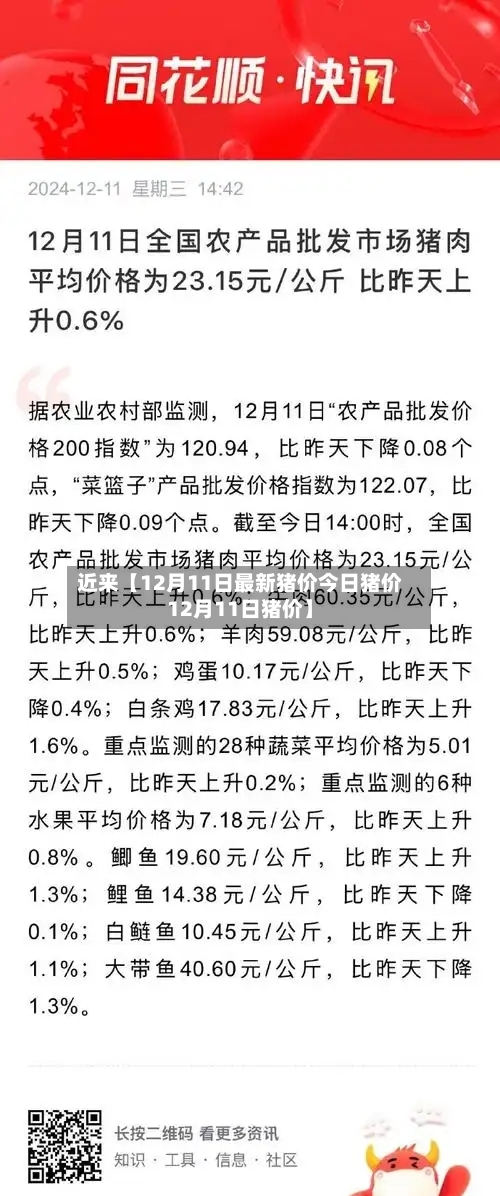 近来【12月11日最新猪价今日猪价12月11日猪价】-第2张图片