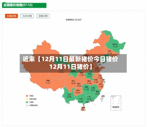 近来【12月11日最新猪价今日猪价12月11日猪价】
