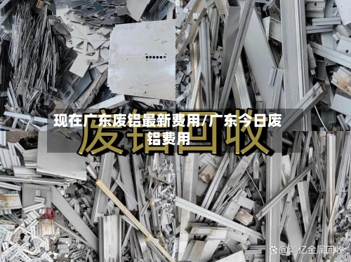 现在广东废铝最新费用/广东今日废铝费用
