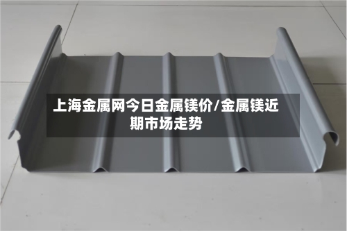 上海金属网今日金属镁价/金属镁近期市场走势-第2张图片