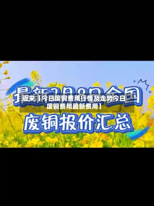 近来【今日废铜费用行情及走势今日废铜费用最新费用】