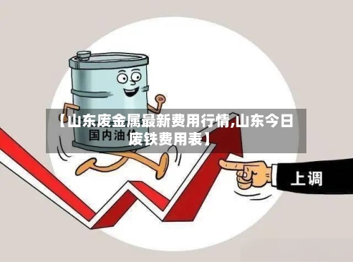 【山东废金属最新费用行情,山东今日废铁费用表】-第3张图片