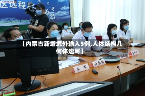 【内蒙古新增境外输入5例,人体结构几何体速写】
