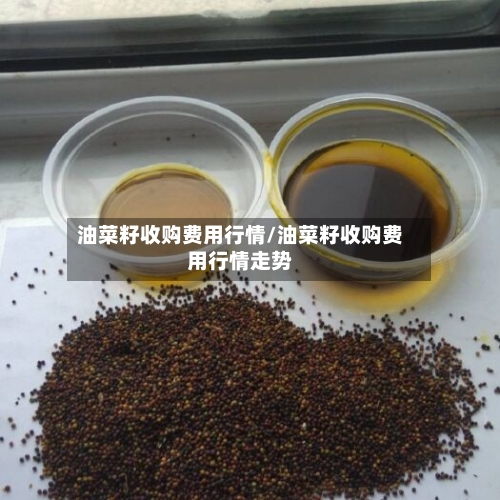 油菜籽收购费用行情/油菜籽收购费用行情走势