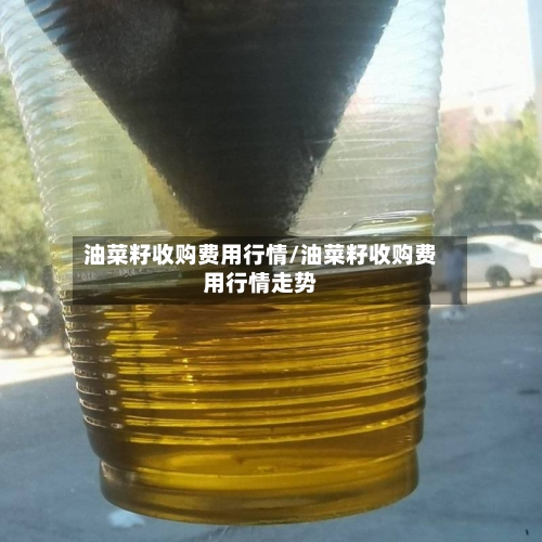 油菜籽收购费用行情/油菜籽收购费用行情走势-第2张图片