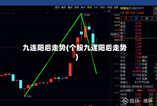 九连阳后走势(个股九连阳后走势)-第2张图片