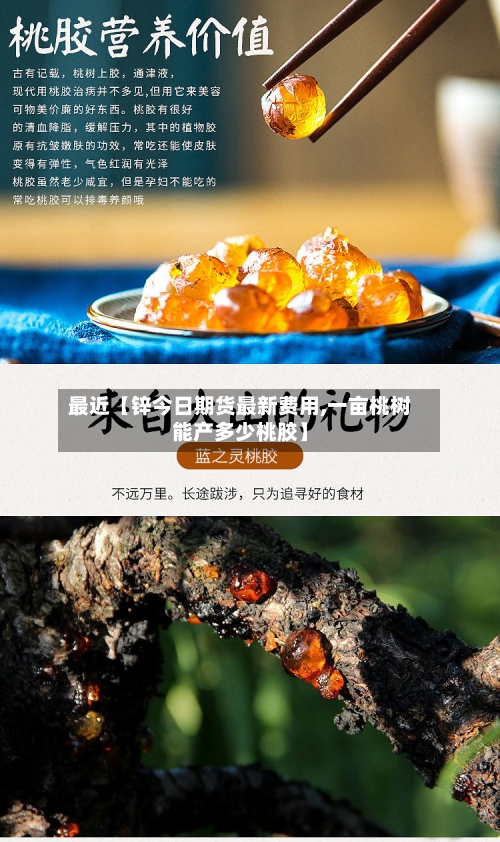 最近【锌今日期货最新费用,一亩桃树能产多少桃胶】-第2张图片