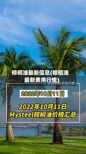 棕榈油最新信息(棕榈油最新费用行情)