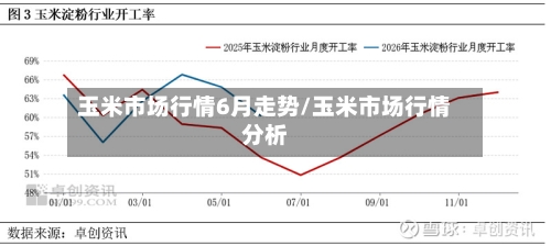 玉米市场行情6月走势/玉米市场行情分析