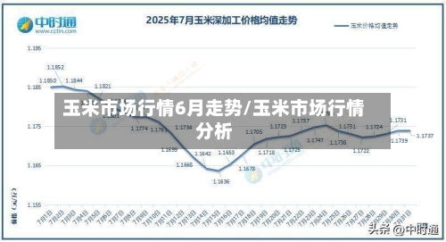 玉米市场行情6月走势/玉米市场行情分析-第2张图片