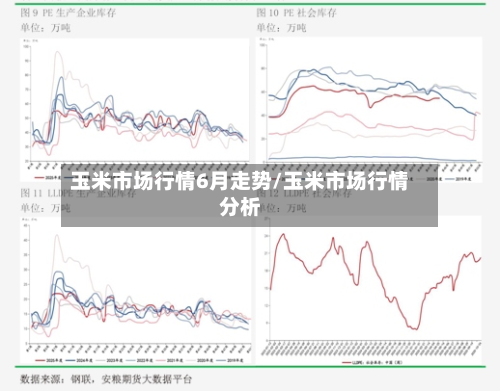玉米市场行情6月走势/玉米市场行情分析-第3张图片