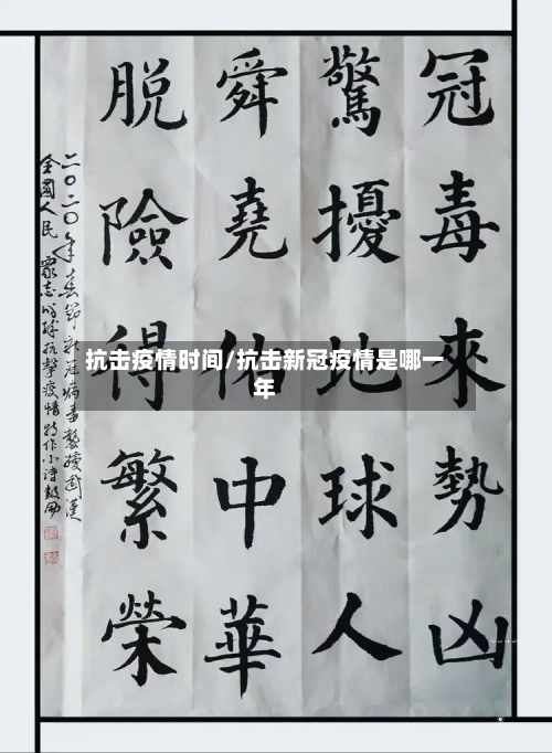 抗击疫情时间/抗击新冠疫情是哪一年-第3张图片