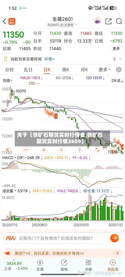 关于【铁矿石期货实时行情金,铁矿石期货实时行情2609】-第2张图片