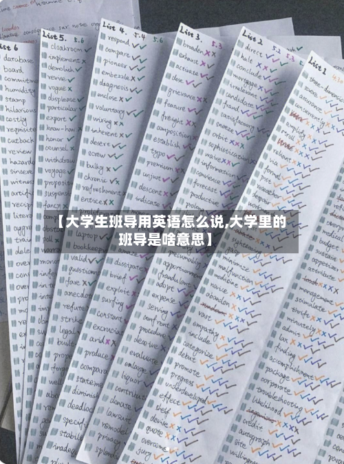 【大学生班导用英语怎么说,大学里的班导是啥意思】