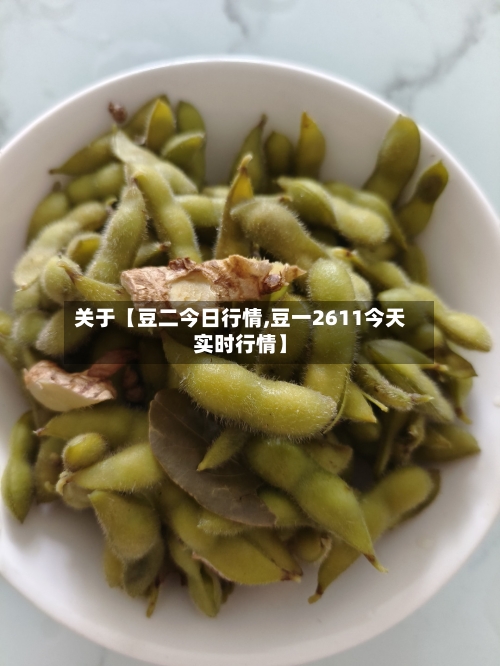 关于【豆二今日行情,豆一2611今天实时行情】