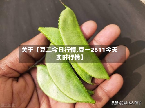 关于【豆二今日行情,豆一2611今天实时行情】-第2张图片