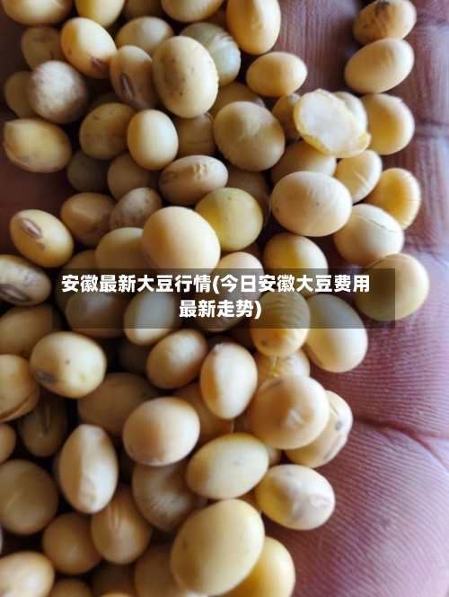 安徽最新大豆行情(今日安徽大豆费用最新走势)