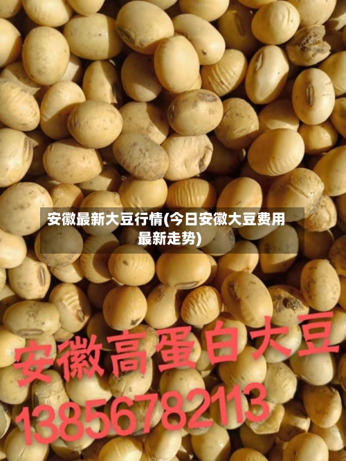安徽最新大豆行情(今日安徽大豆费用最新走势)-第2张图片