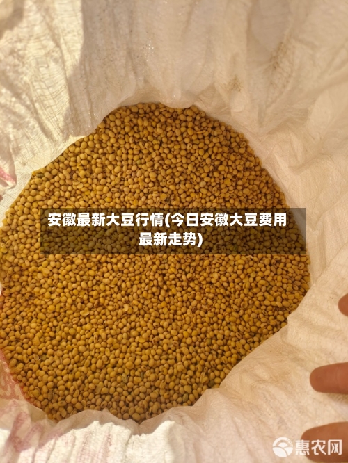 安徽最新大豆行情(今日安徽大豆费用最新走势)-第3张图片