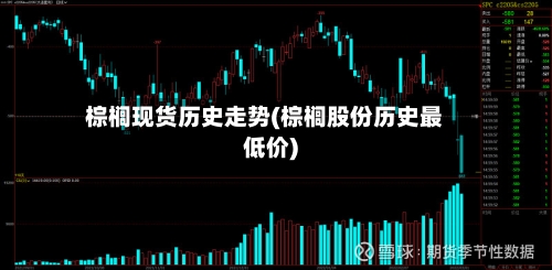 棕榈现货历史走势(棕榈股份历史最低价)