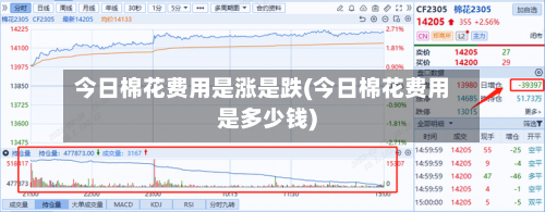 今日棉花费用是涨是跌(今日棉花费用是多少钱)-第2张图片