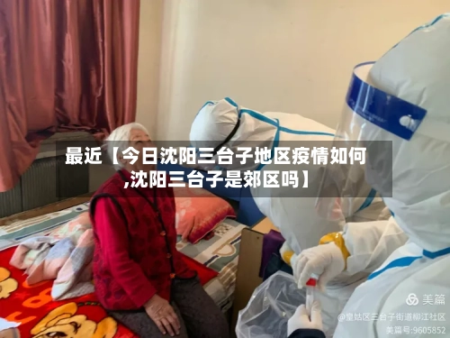 最近【今日沈阳三台子地区疫情如何,沈阳三台子是郊区吗】-第2张图片