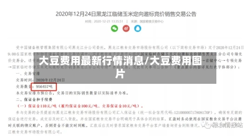 大豆费用最新行情消息/大豆费用图片