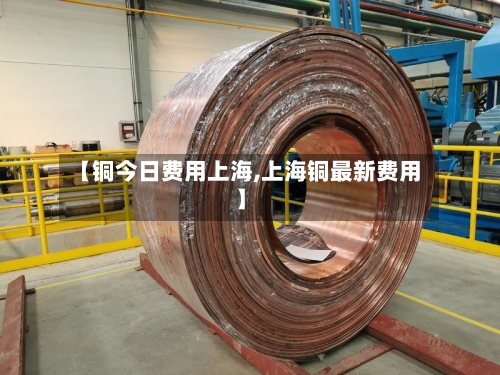 【铜今日费用上海,上海铜最新费用】-第3张图片
