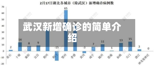 武汉新增确诊的简单介绍