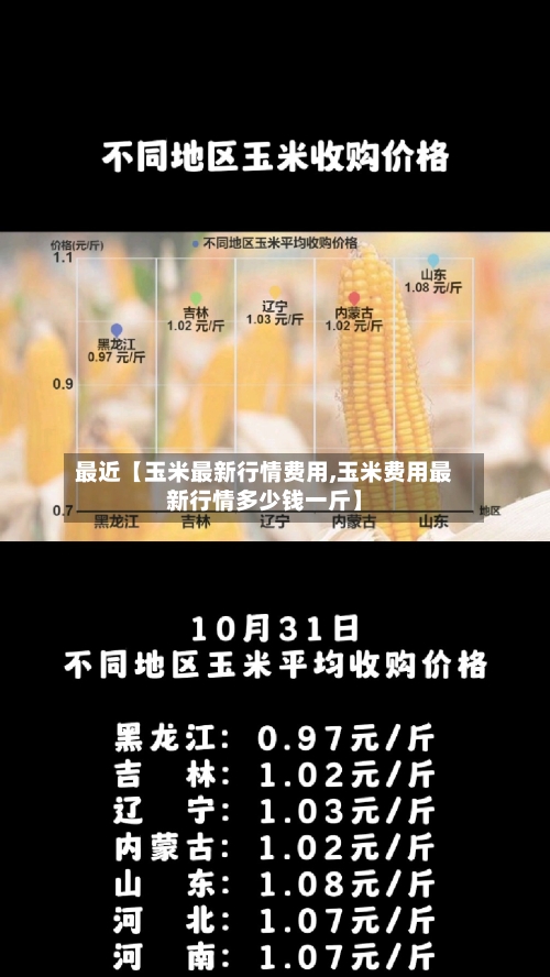 最近【玉米最新行情费用,玉米费用最新行情多少钱一斤】-第2张图片