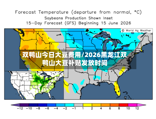 双鸭山今日大豆费用/2026黑龙江双鸭山大豆补贴发放时间-第2张图片