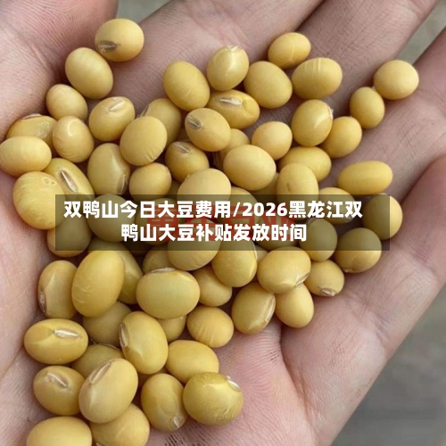 双鸭山今日大豆费用/2026黑龙江双鸭山大豆补贴发放时间