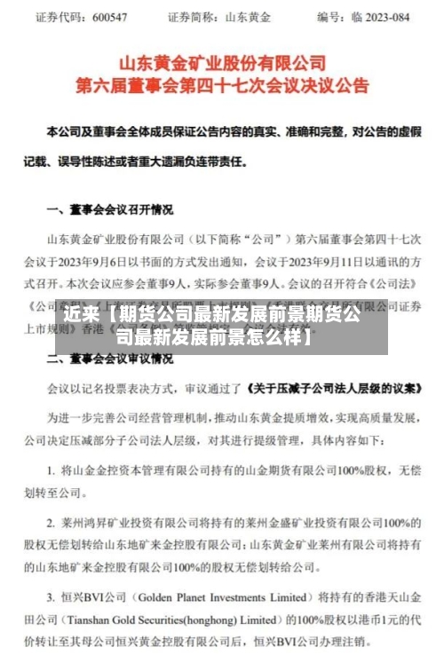 近来【期货公司最新发展前景期货公司最新发展前景怎么样】-第3张图片