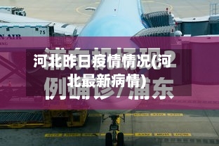 河北昨日疫情情况(河北最新病情)-第2张图片