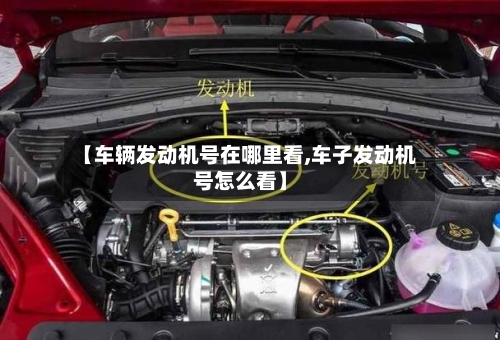 【车辆发动机号在哪里看,车子发动机号怎么看】-第3张图片