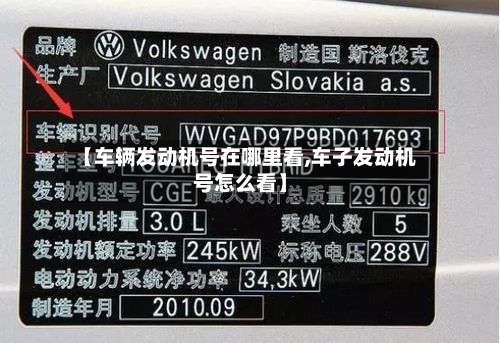 【车辆发动机号在哪里看,车子发动机号怎么看】-第2张图片