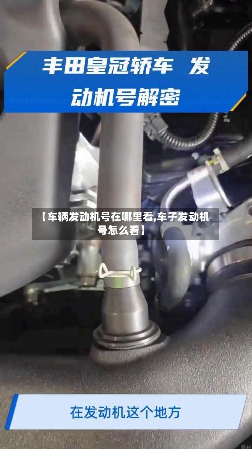 【车辆发动机号在哪里看,车子发动机号怎么看】