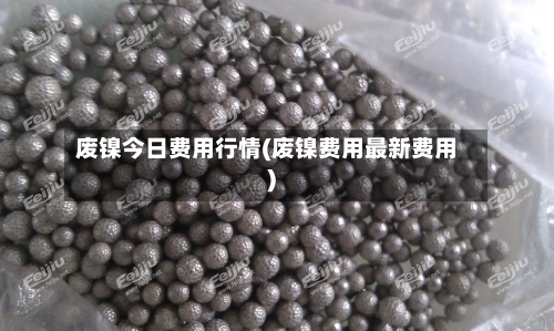 废镍今日费用行情(废镍费用最新费用)-第2张图片