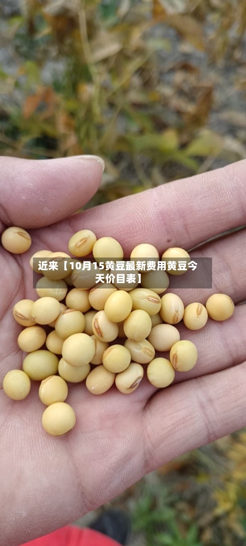 近来【10月15黄豆最新费用黄豆今天价目表】-第3张图片