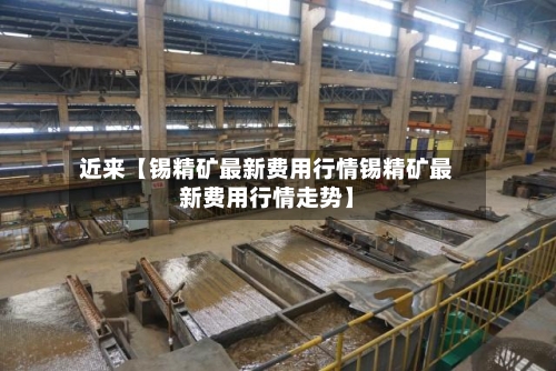 近来【锡精矿最新费用行情锡精矿最新费用行情走势】-第2张图片