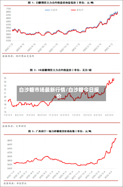 白沙糖市场最新行情/白沙糖今日报价