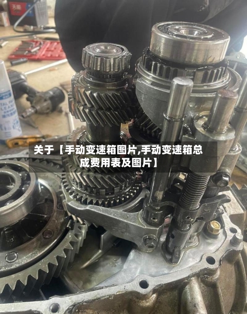 关于【手动变速箱图片,手动变速箱总成费用表及图片】
