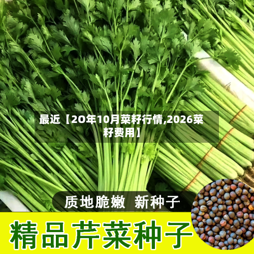 最近【2O年10月菜籽行情,2026菜籽费用】-第3张图片