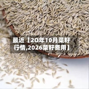 最近【2O年10月菜籽行情,2026菜籽费用】-第2张图片