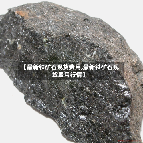【最新铁矿石现货费用,最新铁矿石现货费用行情】