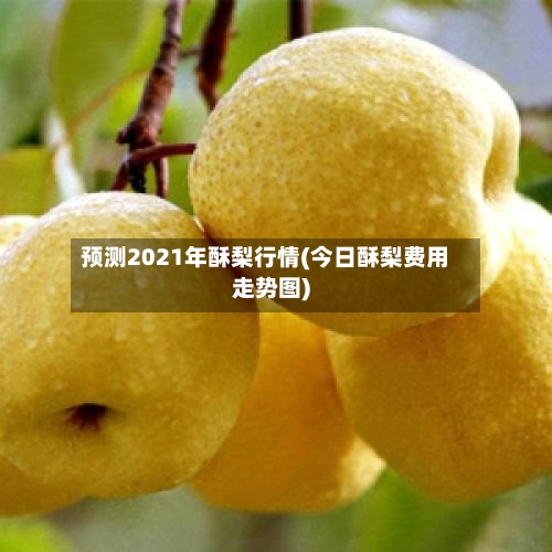 预测2021年酥梨行情(今日酥梨费用走势图)-第2张图片