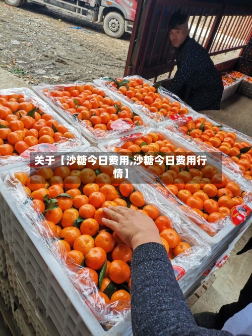 关于【沙糖今日费用,沙糖今日费用行情】