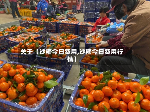 关于【沙糖今日费用,沙糖今日费用行情】-第2张图片