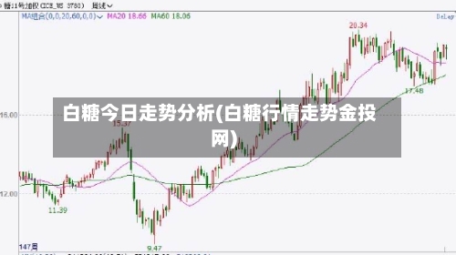 白糖今日走势分析(白糖行情走势金投网)