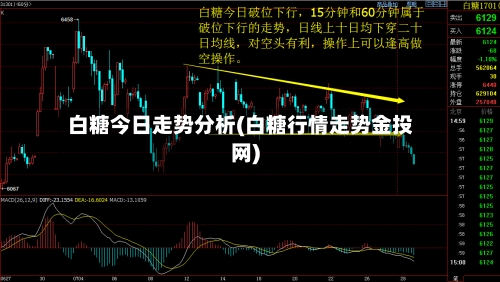 白糖今日走势分析(白糖行情走势金投网)-第2张图片